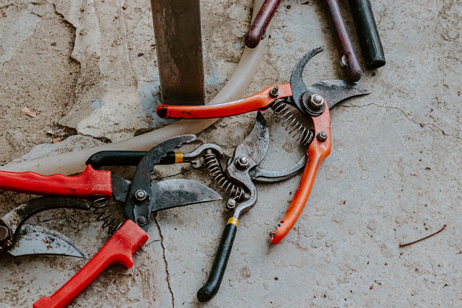 professional garden pruning scissors